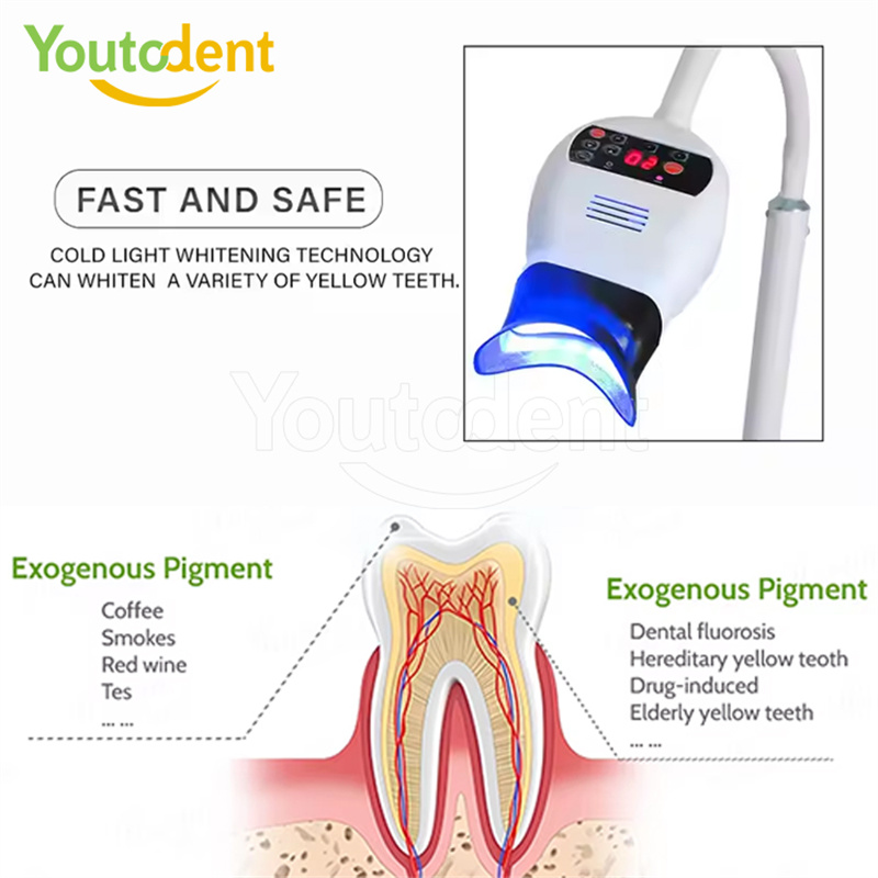 Lámpara de luz Dental profesio - Workshop Tools And Equipment reseña y precio