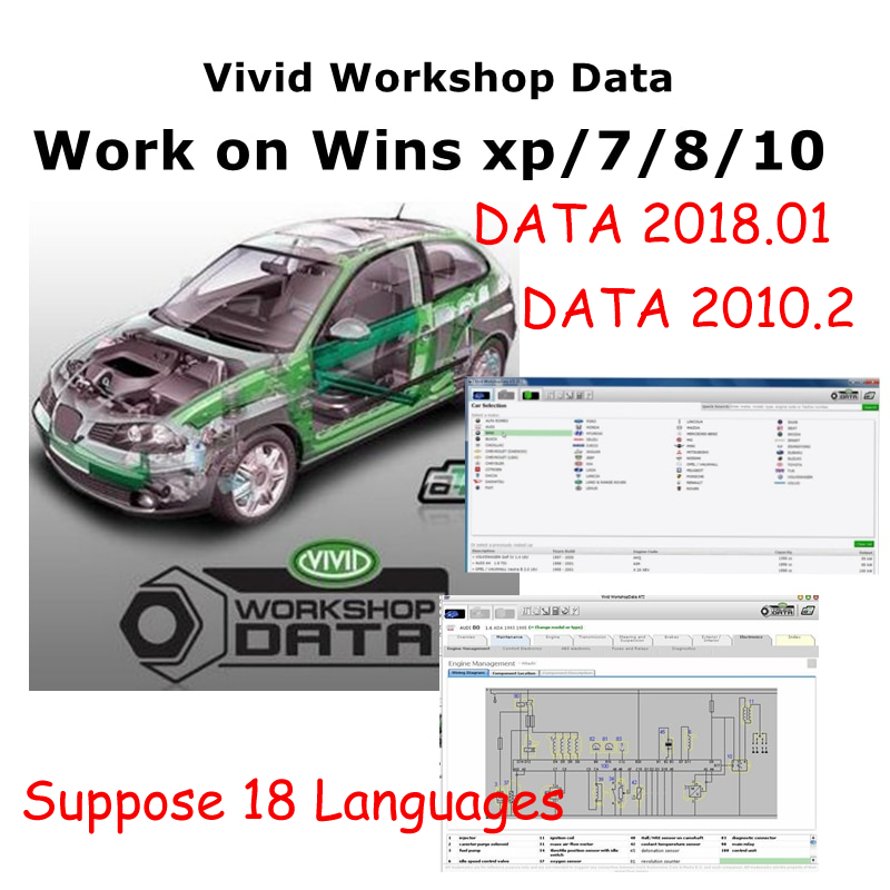 Datos de taller vívidos automo - Workshop Tools English reseña y precio